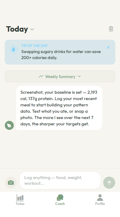 AI coach chat for food logging